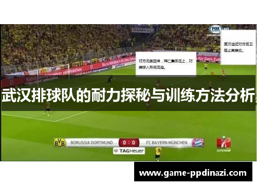 武汉排球队的耐力探秘与训练方法分析