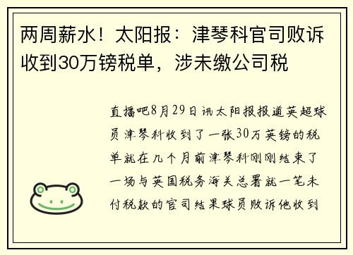 两周薪水！太阳报：津琴科官司败诉收到30万镑税单，涉未缴公司税